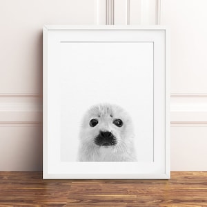 Zegel print, baby seal kunst, Groenlandse dieren, zwart-wit, baby dierenprints, kinderkamer kunst aan de muur, kinderkamer decor, kinderkamer afdrukbare kunst