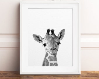 Nursery Decor, Baby Giraffe Print, Safari Animals, Baby Animal Prints, Black & White, Nursery Wall Art, Baby Animals Art, Kids Printable Art