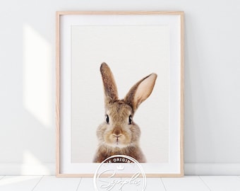Rabbit Print, Woodland Nursery Decor, Rabbit Art, Bunny Rabbit, Nursery Prints, Modern Animal Art, Woodland Animals, Nursery Printable Art