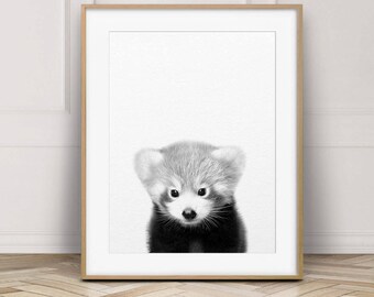 Baby Red Panda Print, Nursery Decor, Baby Animal Prints, Nursery Wall Art, Red Panda Art, Black White Woodland Animals, Kids Room Printable