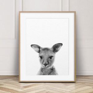 Impression de kangourou de bébé, art mignon de kangourou, art de mur de pépinière, animal australien, impressions animales noires et blanches, décor de pépinière, chambre d'enfants imprimable image 1