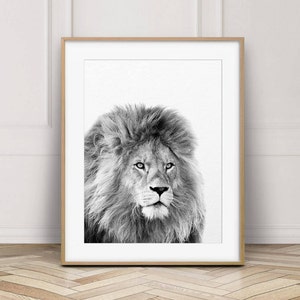 Lion Print, Safari Decor, Safari Animals, Lion Art, Black and White, Animal Prints, Nursery Wall Art, Nursery Decor, Kids Room Printable Art