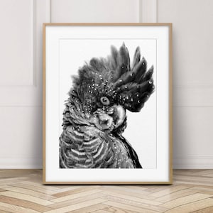 Black Cockatoo Print, Parrot Wall Art, Australian Bird, Red Tailed Black Cockatoo, Black & White, Nursery Decor, Living Room, Printable Art