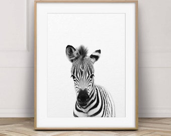Zebra Print, Safari Animal Art, Safari Nursery Decor, Baby Zebra, Black & White Baby Animals, Nursery Animal Prints, Kids Room Printable Art