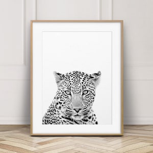 Leopard Print, Leopard Wandkunst, Safari Dekor, Tierdrucke, Safari Tiere schwarz & weiß, Kinderzimmer Dekor, Kinderzimmer Kunst, druckbare Kinder Kunst Bild 1