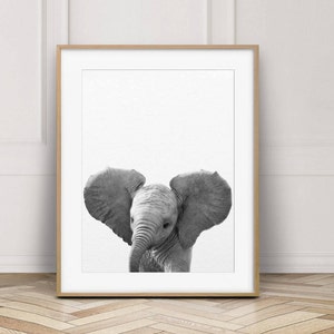 Elephant Print, Nursery Animal Wall Art, Baby Elephant Art, Safari Animal Prints, Black & White, Baby Animals, Nursery Decor, Printable Art