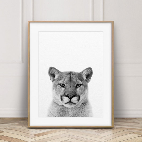 Puma Print, Cougar Photo, Mountain Lion Print, Forest Animal Wall Art, American Animals, Black White Nursery Decor, Kids Room Printable Art