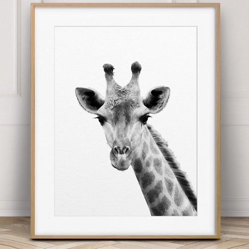 Giraffe Print Giraffe Wall Art Black and White Animals Etsy