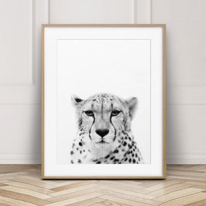 Cheetah Print, Cheetah Wall Art, Cheetah Photo, Safari African Animal, Safari Animals Black & White, Nursery Decor, Kids Room Printable Art