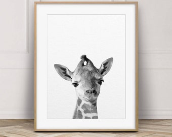 Baby Giraffe Print, Nursery Wall Art, Baby Animal Prints, Safari Animals Art, Black & White, Safari Nursery Decor, Kids Room Printable Art