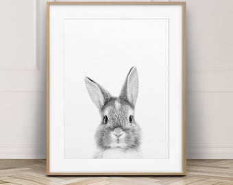 Rabbit Print, Bunny Rabbit Art, Black & White Baby Animals, Nursery Decor, Nursery Bunny, Woodland Animals, Nursery Wall Art, Printable Art