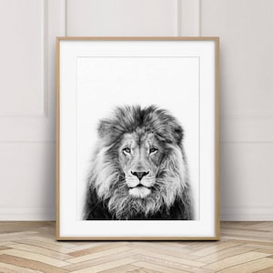 Lion Print, Lion Wall Art, Safari African Animal, Lion Photo, Black And White Animal Print, Nursery Wall Art, Nursery Decor, Printable Art