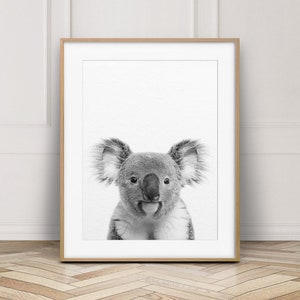 Koala Print, Koala Bear Wall Art, Nursery Decor, Animal Prints, Australian Animal, Black & White Nursery Animals, Kids Room Printable Art