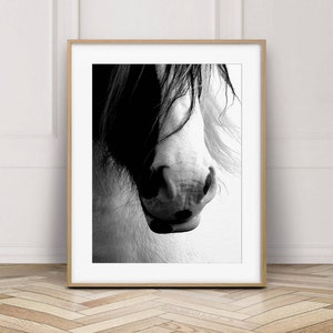 Horse Photo, Horse Print, Black And White Photography, Horse Wall Art, Icelandic Horse, Printable Art, Modern, Minimalist, Instant Download