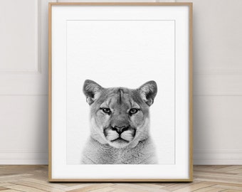Puede incluir: Fotografía en blanco y negro de la cara de un puma. El puma está mirando directamente a la cámara con una expresión seria.