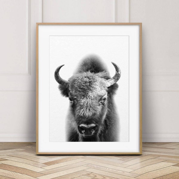 Buffalo Print, Bison Wall Art, American Bison Print, Black White Animal, Contemporary Minimalist, Modern Art, Kids Room Decor, Printable Art