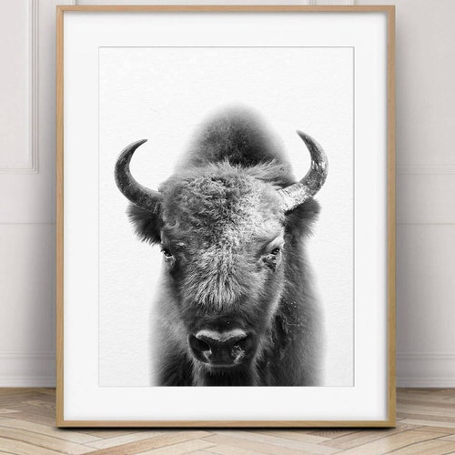 Buffalo Print Bison Wall Art Black and White Buffalo Modern Etsy