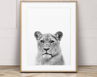 Lioness Print, Safari Animals, Lioness Art, Nursery Decor, Black and White, Safari Animal Prints, Nursery Wall Art, Baby Room Printable Art