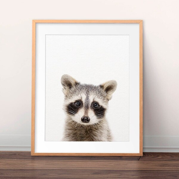 Waschbär Druck, Baby Waschbär, Baby Animal Prints, Waldtier, Kinderzimmer Wandkunst, Baby Tiere, Wald Kinderzimmer Dekor, druckbare Kunst für Kinder