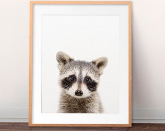 Raccoon Print, Baby Raccoon, Baby Animal Prints, Woodland Animal, Nursery Wall Art, Baby Animals, Woodland Nursery Decor, Kids Printable Art