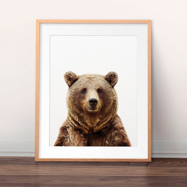 Grizzly Bear Print - Etsy