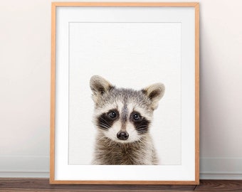 Raccoon Print, Baby Raccoon, Baby Animal Prints, Woodland Animal, Nursery Wall Art, Baby Animals, Woodland Nursery Decor, Kids Printable Art