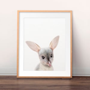 Baby Bilby Print, Nursery Decor, Australian Animals Art, Bilby Art, Baby Animals, Nursery Wall Art, Baby Animal Prints, Kids Printable Art