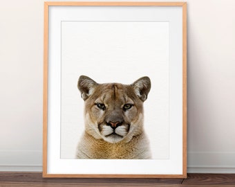 Puma Print, Cougar Photo, Mountain Lion Print, Forest Animal Wall Art, American Animals, Modern Wall Art, Nursery Decor, Kids Room Printable