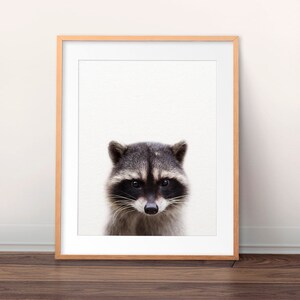 Raccoon Print, Baby Raccoon, Woodland Nursery Decor, Baby Animal Prints, Nursery Wall Art, Woodland Animals, Nursery Art, Kids Printable Art