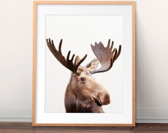 Moose Print, Moose Wall Art, Woodland Animals, Woodland Nursery Decor, Animal Prints, Nursery Wall Art, Kids Room Wall Decor, Printable Art
