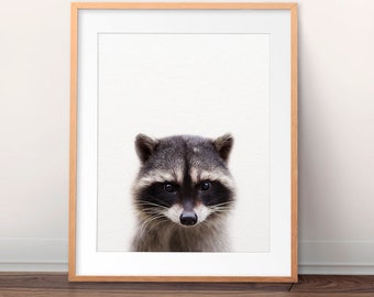 Waschbär Druck, Baby Waschbär, Wald Kinderzimmer Dekor, Baby Animal Prints, Kinderzimmer Wandkunst, Waldtiere, Kinderzimmer Kunst, druckbare Kunst für Kinder
