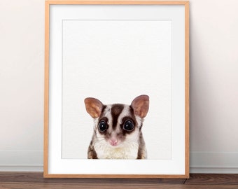 Sugar Glider Print, Cute Baby Animal Prints, Australian Squirrel Print, Baby Sugar Glider Wall Art, Nursery Decor, Kids Room Printable Art