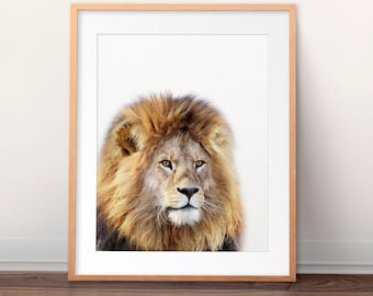 Löwe Druck, Safari Dekor, Safari Tiere, Löwe Wandkunst, Tierdrucke, Kinderzimmer Wandkunst, Safari Kinderzimmer Dekor, Kinderzimmer Dekor, druckbare Kunst
