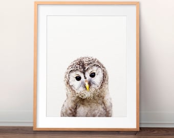 Owl Print, Nursery Wall Art, Baby Owl Art, Baby Animals, Nursery Art, Woodland Animal, Nursery Decor, Baby Animal Prints, Kids Printable Art