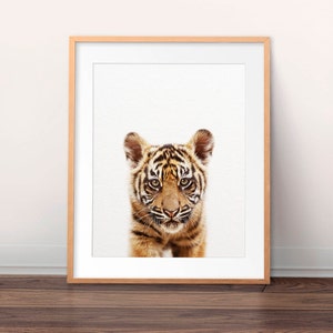 Tiger Print, Baby Animal Prints, Nursery Art, Jungle Animal Print, Tiger Cub Photo, Nursery Wall Art, Nursery Decor, Kids Room Printable Art