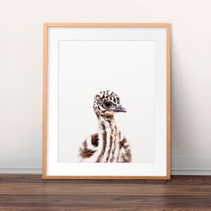 Emu Print, Baby Animal Prints, australische Tiere, Emu Chick Print, Vogel, Baby Tiere, Kinderzimmer Wandkunst, Kinderzimmer Dekor, druckbare Kunst