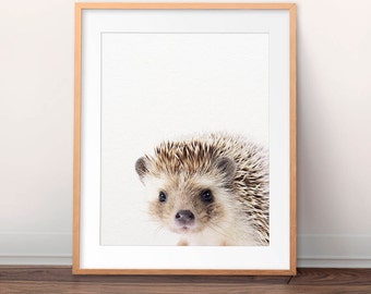 Hedgehog Print, Woodland Nursery Decor, Hedgehog Photo, Baby Animals, Nursery Wall Art, Woodland Animal Prints, Kids Room Printable Art