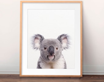 Koala Print, Koala Bear Wall Art, Nursery Decor, Animal Prints, Australian Animal, Nursery Animals, Babies Room Art, Kids Room Printable Art