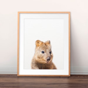 Baby Quokka Print, Kinderzimmer Dekor, australische Tiere Kunst, Beuteltiere, Quokka Art, Kinderzimmer Wandkunst, Baby Animal Prints, druckbare Kinderkunst