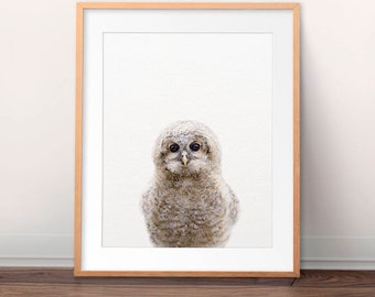 Baby Owl Print, Nursery Wall Art, Baby Owl Art, Nursery Art, Woodland Animals Print, Nursery Decor, Baby Animal Prints, Kids Printable Art
