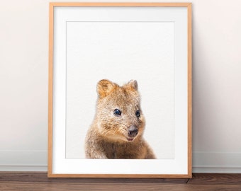 Baby Quokka Print, Nursery Decor, Australian Animals Art, Marsupials, Quokka Art, Nursery Wall Art, Baby Animal Prints, Kids Printable Art