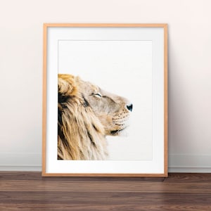 Lion Print, Safari Decor, African Animal, Lion Wall Art, Lion Photo, Animal Prints, Nursery Wall Art, Nursery Decor, Kids Room Printable Art