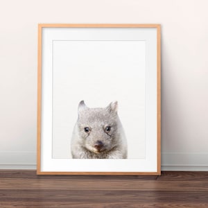 Wombat Print, Baby Wombat Wall Art, Cute Baby Animal Prints, Australian Animal, Nursery Animals Art, Nursery Decor, Kids Room Printable Art image 1