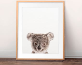 Koala Print, Baby Koala Art, Nursery Decor, Baby Animal Prints, Australian Animals, Koala Cub Print, Nursery Wall Art, Kids Room Printable