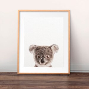 Koala Print, Baby Koala Art, Nursery Decor, Baby Animal Prints, Australian Animals, Koala Cub Print, Nursery Wall Art, Kids Room Printable