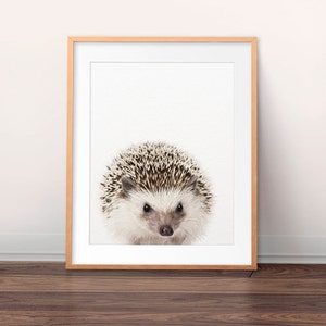Hedgehog Print, Nursery Art, Woodland Animal Prints, Hedgehog Photo, Cute Animals, Hedgehog Wall Art, Nursery Decor, Kids Room Printable Art