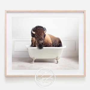 Könnte beinhalten: Ein gerahmter Druck, der einen Bison in einer weißen Badewanne mit Löwenfüßen zeigt. Der Bison hat braunes und hellbraunes Fell mit einem dunklen Bart. Das Badezimmer hat weiße Wände und einen hellen Holzboden. Der Druck ist in einem hellen Holzrahmen.