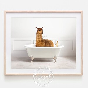 Könnte beinhalten: Gerahmter Druck mit einem braunen Lama, das in einer weißen Badewanne mit Löwenfüßen badet. Eine kleine gelbe Ente sitzt am Wannenrand. Der Hintergrund ist eine weiße Wand mit Leisten. Der Druck ist in einem hellen Holzrahmen.
