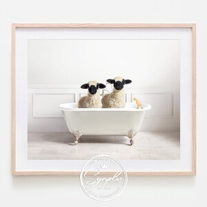 Könnte beinhalten: Zwei schwarze Schafe sitzen in einer weißen Badewanne mit einer gelben Gummiente. Die Badewanne hat silberne Füße und steht in einem weiß gefliesten Badezimmer.