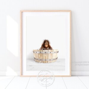 Könnte beinhalten: Ein gerahmter Druck eines Orang-Utans, der in einer Holzwanne mit Blasen sitzt. Der Orang-Utan schaut in die Kamera. Der Hintergrund ist eine weiße Holzoberfläche. Der Druck hat einen weißen Rahmen und einen weißen Passepartout.
